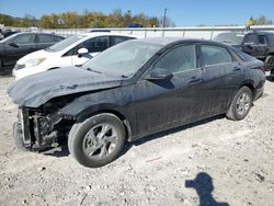 Salvage cars for sale at Lawrenceburg, KY auction: 2023 Hyundai Elantra SE