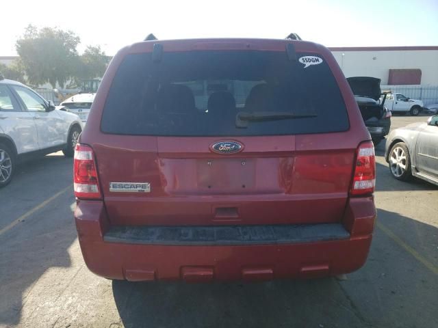 2010 Ford Escape XLT