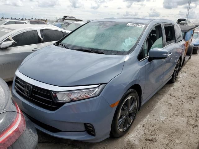 2023 Honda Odyssey Elite