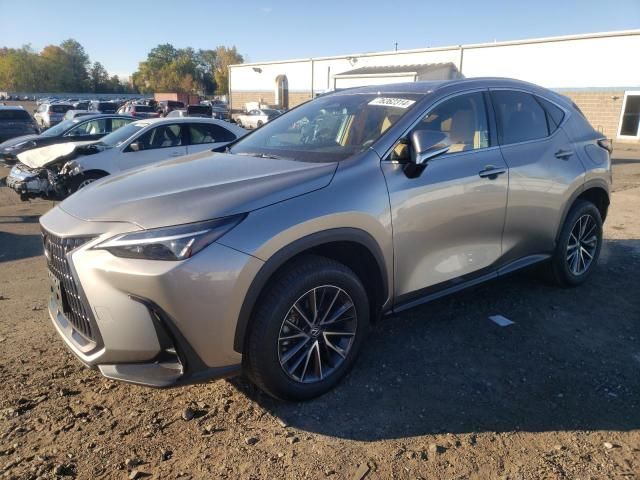 2024 Lexus NX 350 Base