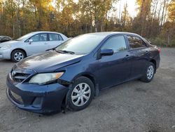 Salvage cars for sale at Cookstown, ON auction: 2011 Toyota Corolla Base