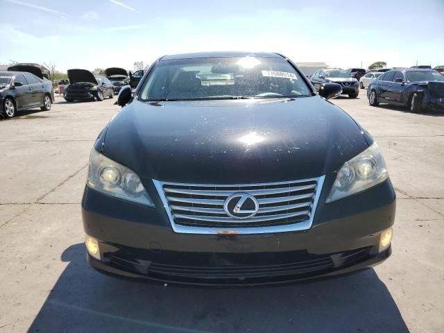 2010 Lexus ES 350