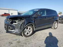 Salvage SUVs for sale at auction: 2014 Ford Escape SE