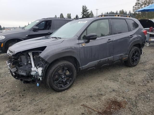 2023 Subaru Forester Wilderness