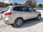 2007 Hyundai Santa FE SE