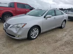 Salvage cars for sale at Arcadia, FL auction: 2010 Lexus ES 350