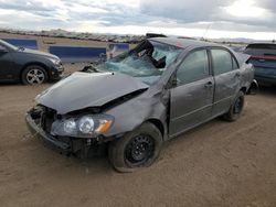 Salvage cars for sale at Brighton, CO auction: 2005 Toyota Corolla CE