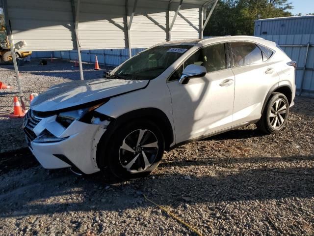 2019 Lexus NX 300 Base