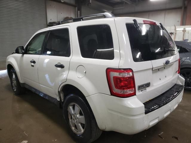 2009 Ford Escape XLT