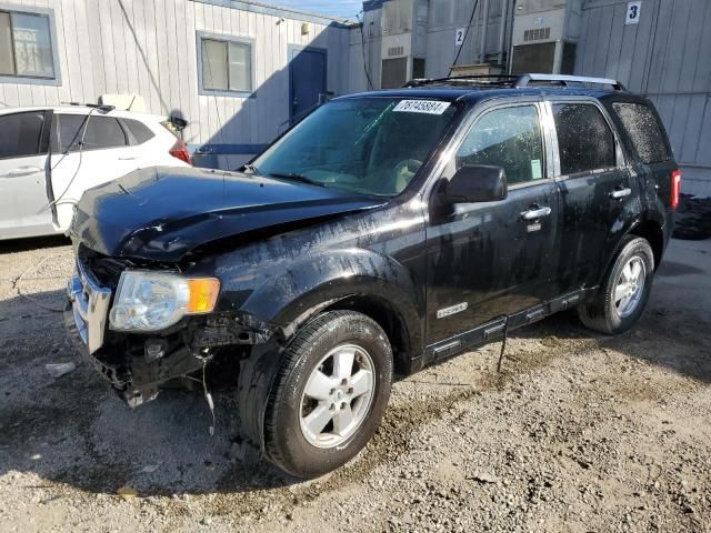 2008 Ford Escape XLT