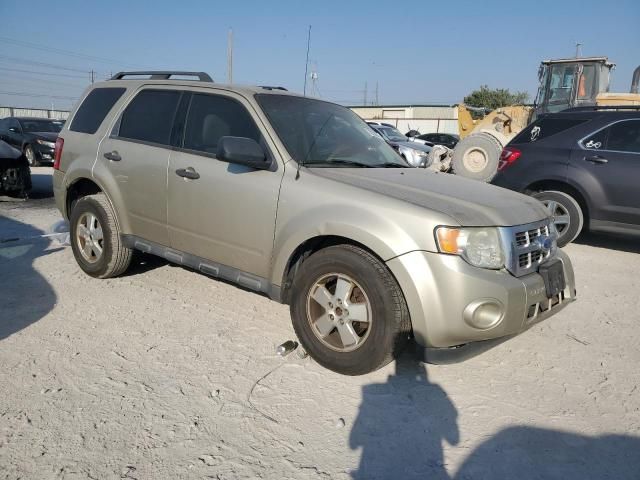 2012 Ford Escape XLT