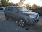 2013 Honda Pilot EXL