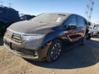 2022 Honda Odyssey EXL