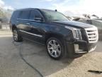 2017 Cadillac Escalade Premium Luxury