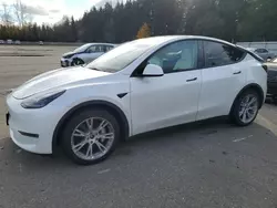 Tesla salvage cars for sale: 2023 Tesla Model Y