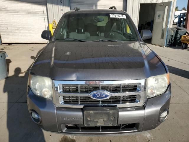 2011 Ford Escape XLT