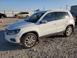 Volkswagen salvage cars for sale: 2014 Volkswagen Tiguan S