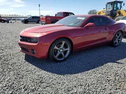 Chevrolet Camaro salvage cars for sale: 2013 Chevrolet Camaro LT