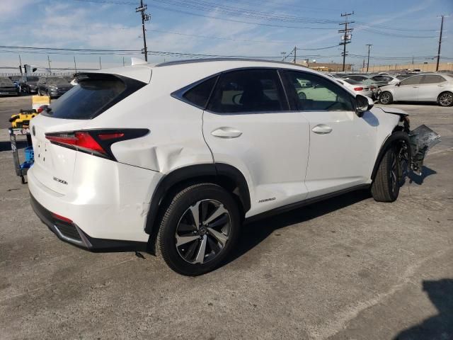 2021 Lexus NX 300H Base