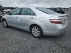 2009 Toyota Camry Hybrid