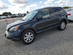 Salvage cars for sale at Lumberton, NC auction: 2009 Honda CR-V EXL