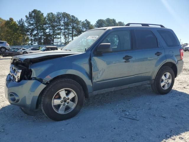 2010 Ford Escape XLT