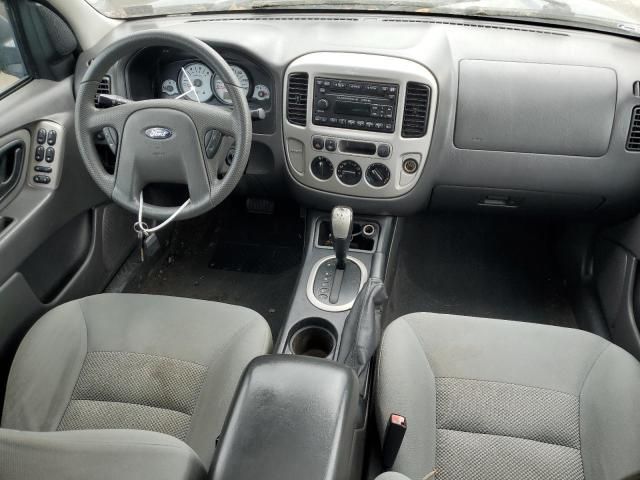 2007 Ford Escape XLT