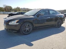 Salvage cars for sale at Lebanon, TN auction: 2010 Nissan Maxima S