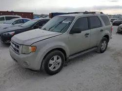 Salvage cars for sale at Arcadia, FL auction: 2009 Ford Escape XLT