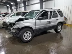 2004 Ford Escape XLT en venta en Ham Lake, MN