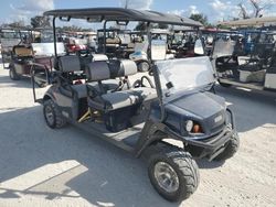 2018 Asse Golf Cart en venta en Arcadia, FL