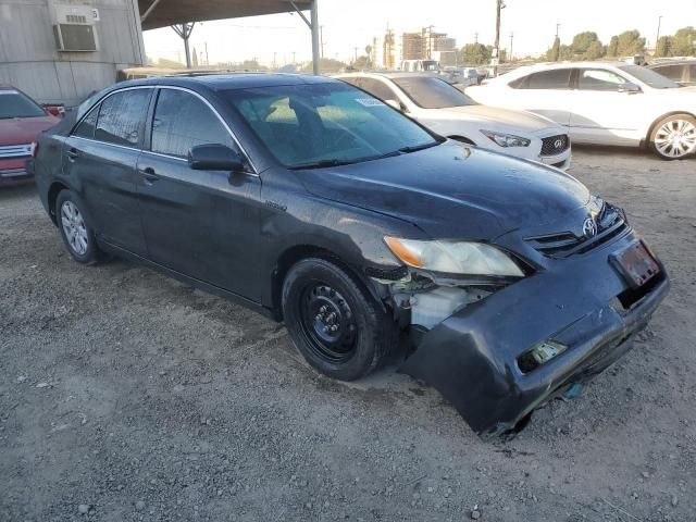 2008 Toyota Camry Hybrid