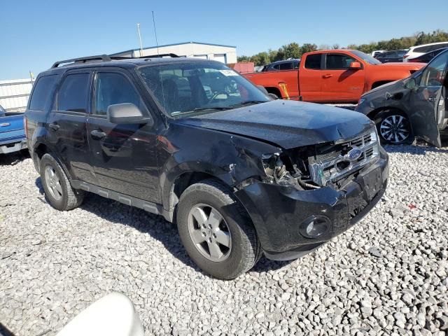 2009 Ford Escape XLT