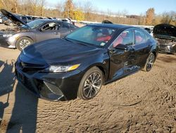 Salvage cars for sale at Marlboro, NY auction: 2019 Toyota Camry L