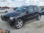 2008 Mercedes-Benz ML 350