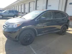 2012 Honda CR-V EXL en venta en Louisville, KY