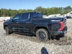 2024 Toyota Tundra Crewmax Platinum