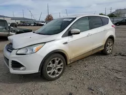 Ford Escape salvage cars for sale: 2013 Ford Escape SEL