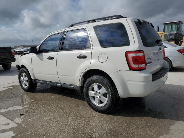 2009 Ford Escape XLS