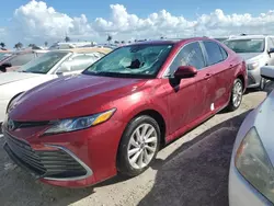 2021 Toyota Camry LE en venta en Arcadia, FL