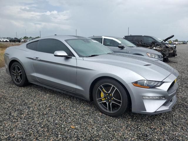 2023 Ford Mustang