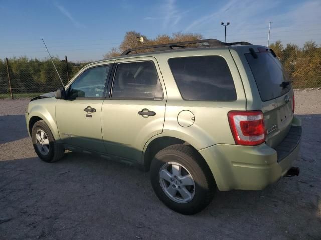 2008 Ford Escape XLT