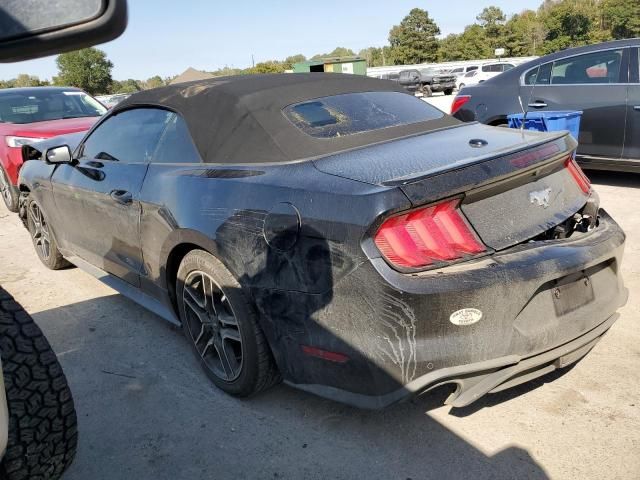 2019 Ford Mustang