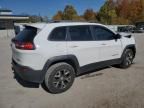 2018 Jeep Cherokee Trailhawk