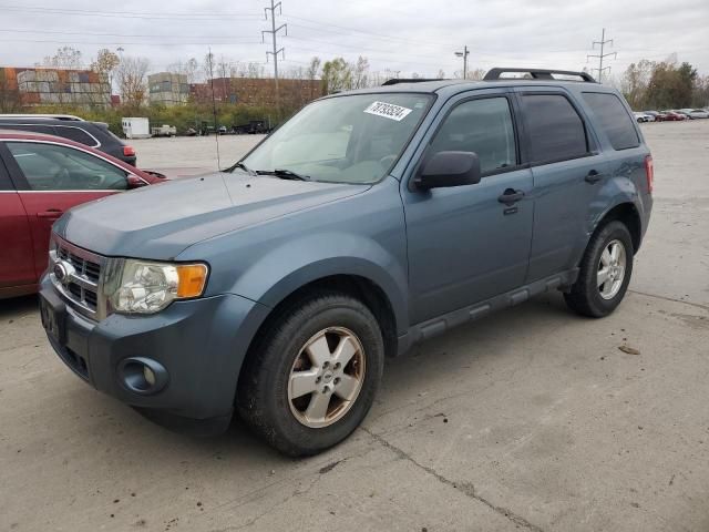 2011 Ford Escape XLT