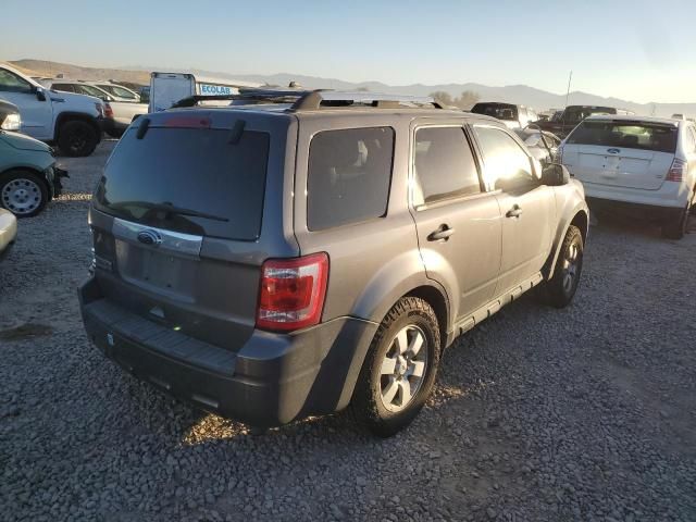 2010 Ford Escape Limited