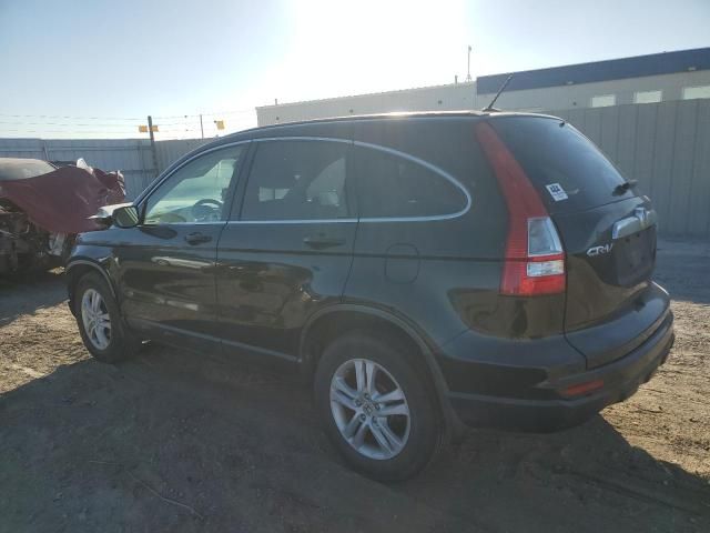 2010 Honda CR-V EXL