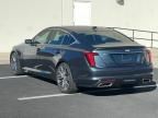 2021 Cadillac CT5 Luxury