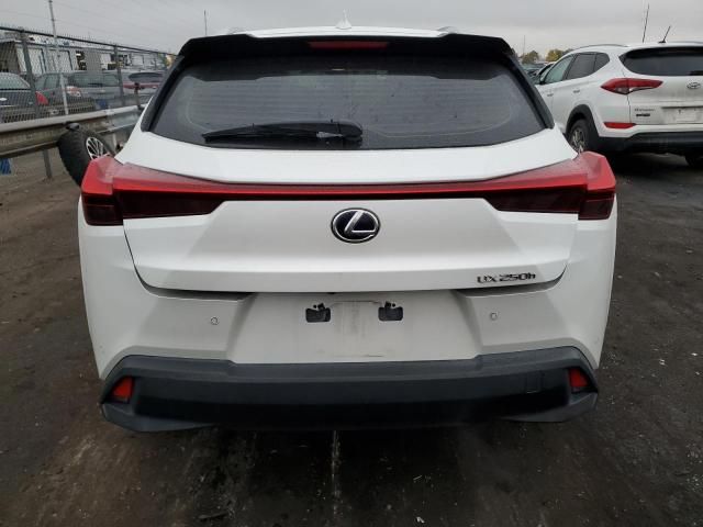 2020 Lexus UX 250H