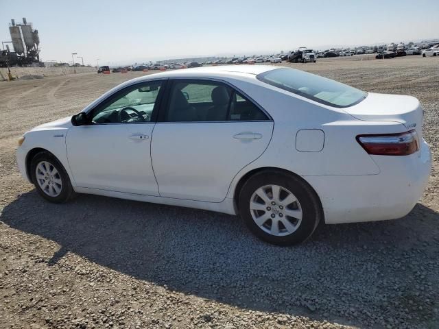 2008 Toyota Camry Hybrid